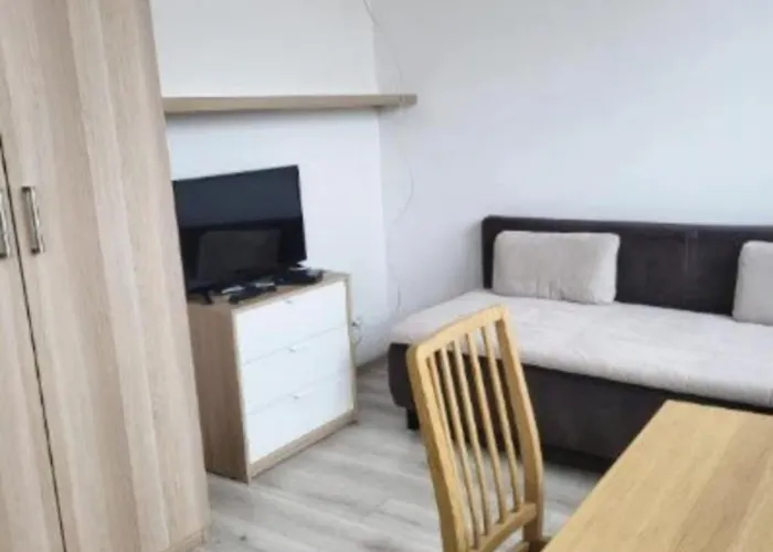 Apartmentaviatorbird