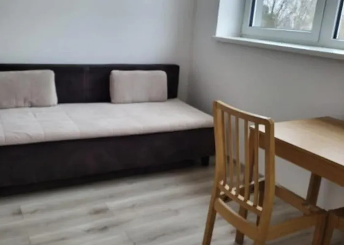 Apartmentaviatorbird